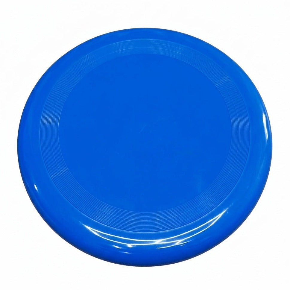 Frisbee Disc Blue
