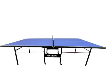 Table Tennis (Ping Pong) Super olympic Indoor