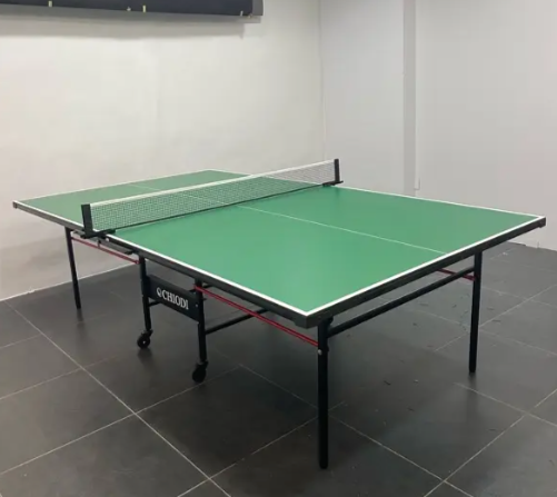 Table Tennis (Ping Pong) Super olympic outdoor  Green
