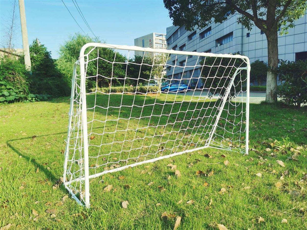 Goal SG301-1   With Net