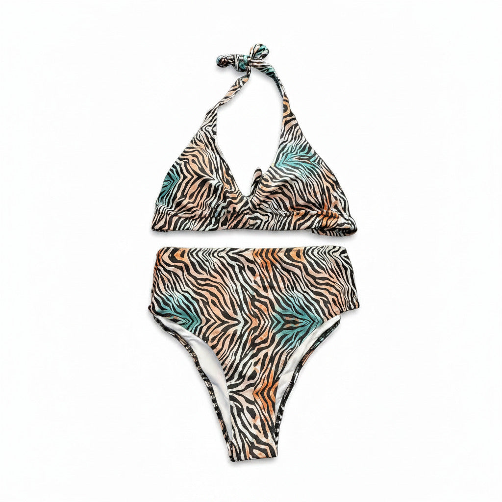 Swimsuit (Maillot) Two-Pieces Animal Print