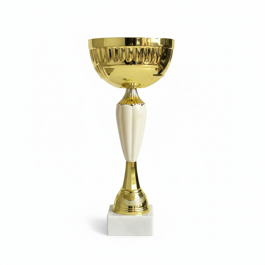 Clean product photo of gold trophy