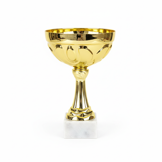 Clean product photo of gold trophy