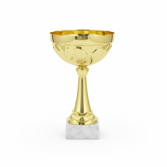 Clean product photo of gold trophy