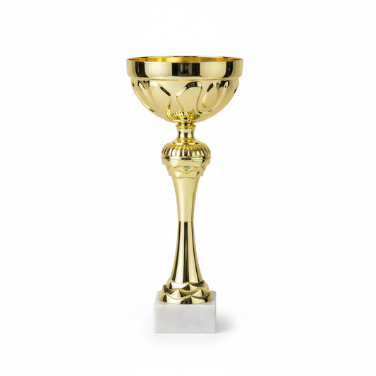 Clean product photo of gold trophy