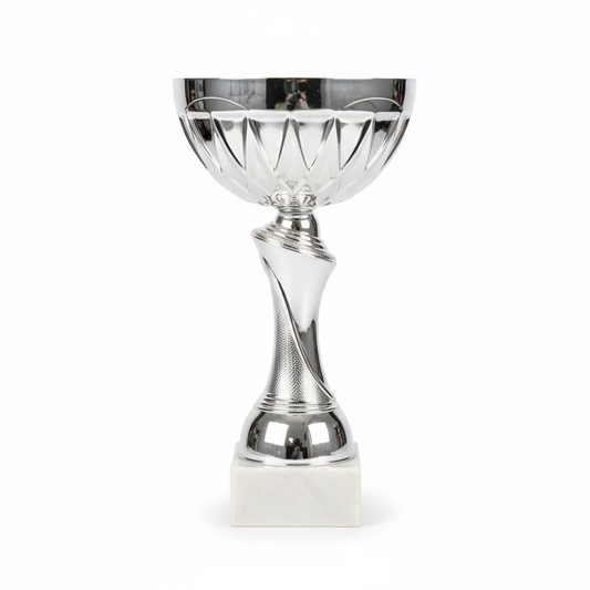 Clean product photo of silver trophy