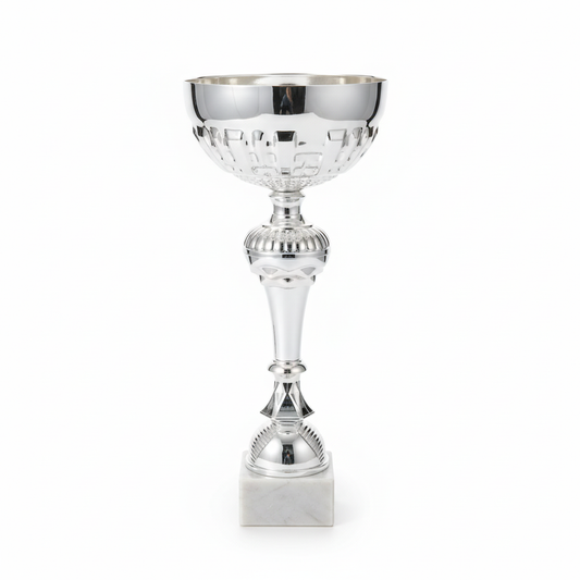 Clean product photo of silver trophy