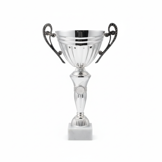 Product photo with white background - silver trophy with handles