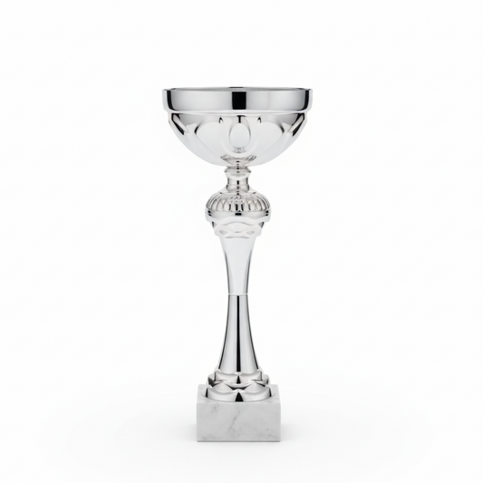 Product photo with white background - silver trophy
