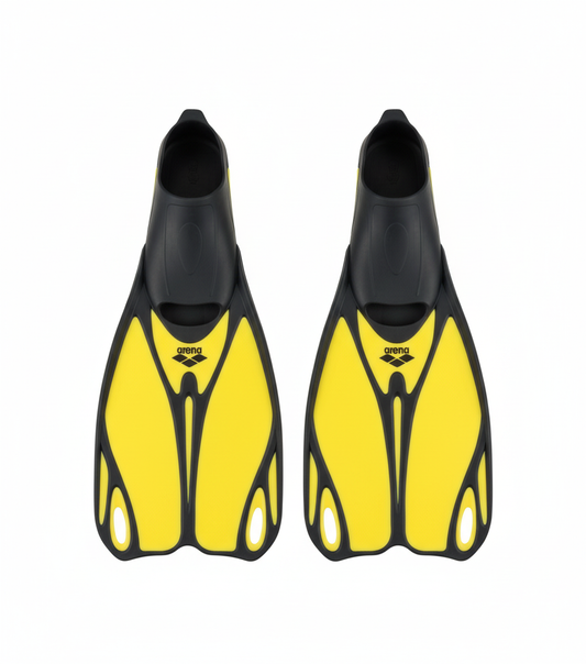 Top view of swimming fins